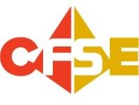 CFSE Certified Functional Safety Expert logo
